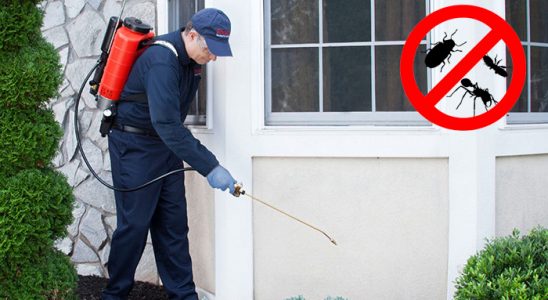 Yenifoça Karınca İlaçlama böcek ilaçlama ve haşere kontrolü — ilaclama-tr.com